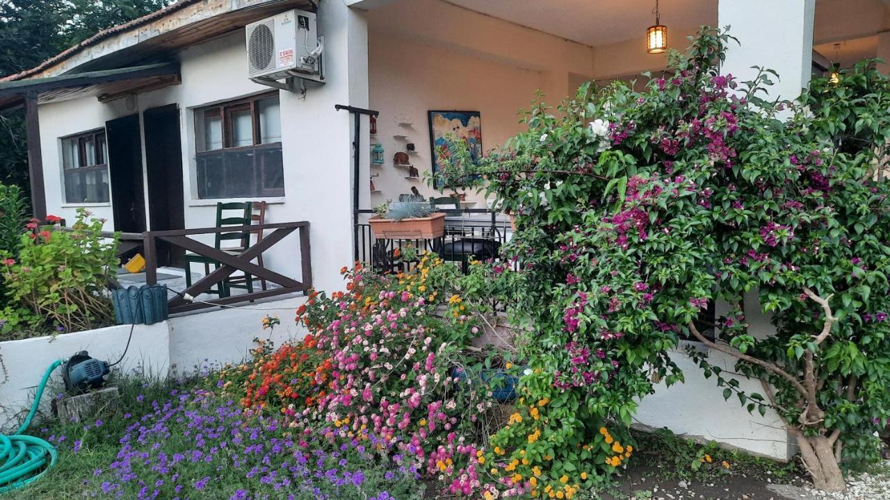 Teo Hotel Çıralı Buitenkant foto